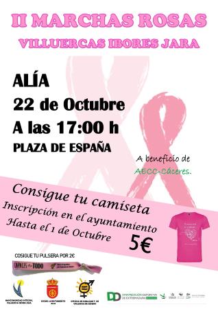 cartel marchas rosas 2019 ALIA