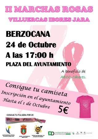 cartel marchas rosas 2019 BERZOCANA