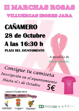 cartel marchas rosas 2019 CAÑAMERO