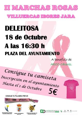 cartel marchas rosas 2019 DELEITOSA