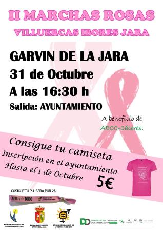 cartel marchas rosas 2019 GARVIN