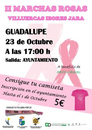 cartel marchas rosas 2019 GUADALUPE