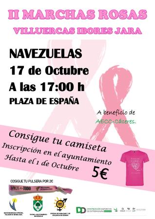 cartel marchas rosas 2019 NAVEZUELAS