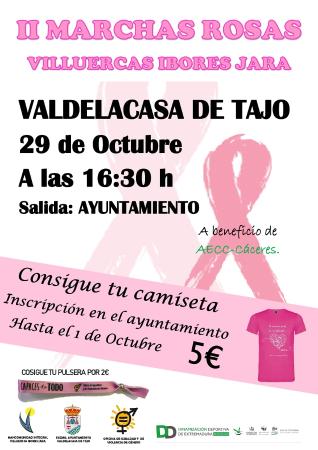 cartel marchas rosas 2019 VALDELACASA