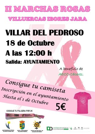 cartel marchas rosas 2019 VILLAR