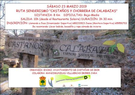 ruta castaños.jpg